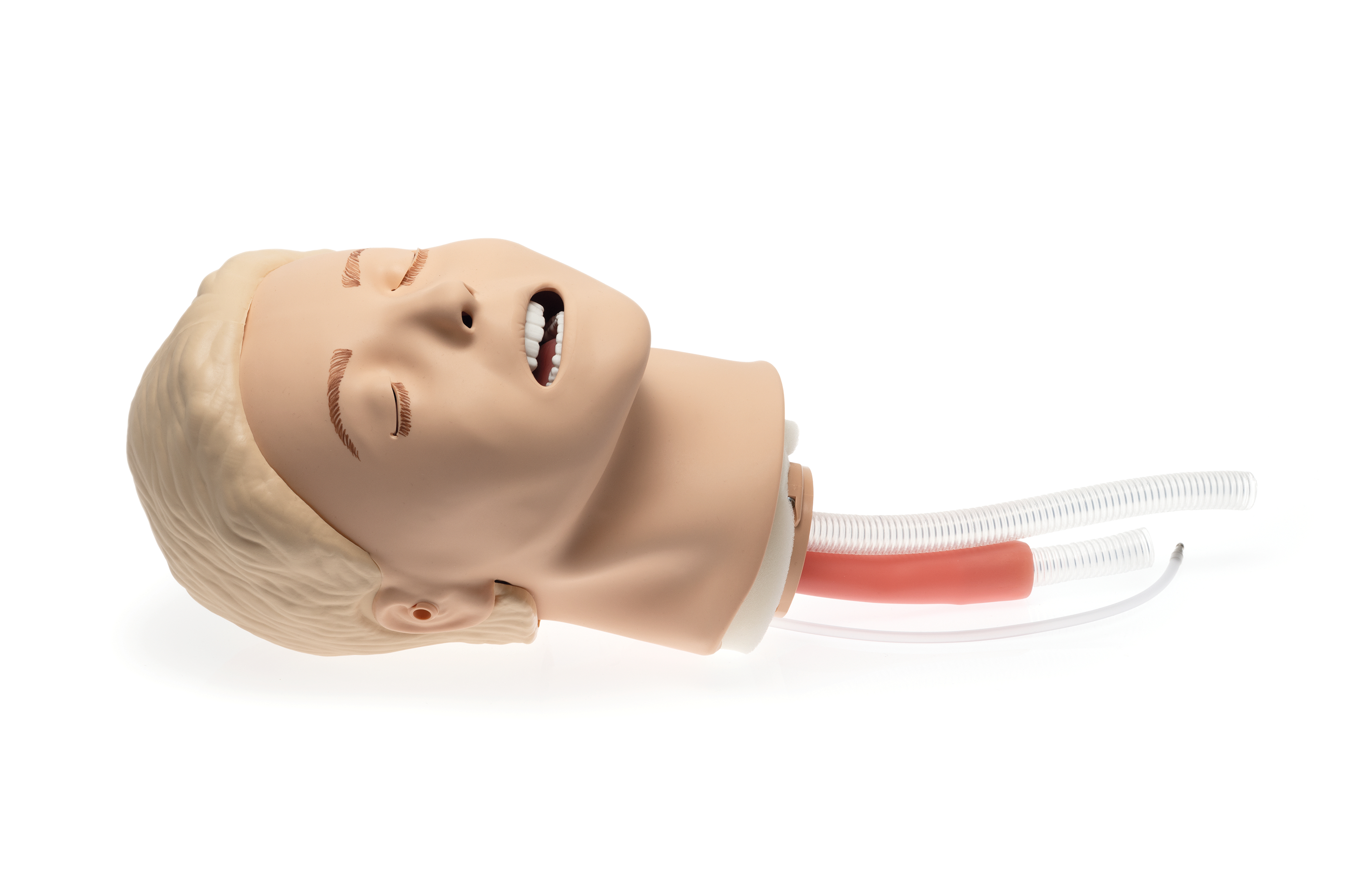 Laerdal Resusci Anne Airway Head 